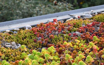the cost of Tomintoul green roof installation