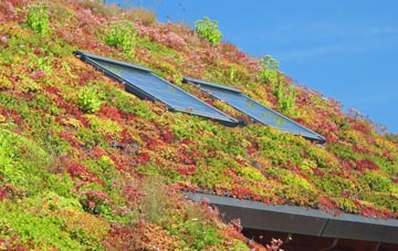 Tomintoul living roof systems