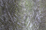 Tomintoul fibreglass roof work